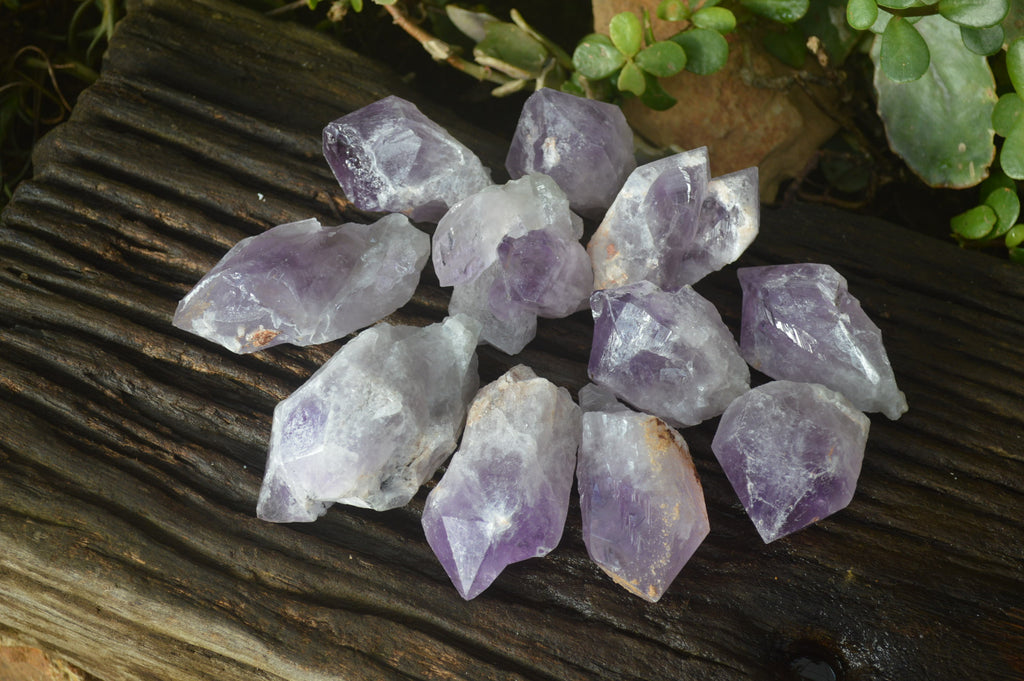 Natural Jacaranda Amethyst Crystals x 12 From Mumbwa, Zambia - Toprock Gemstones and Minerals 