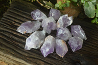 Natural Jacaranda Amethyst Crystals x 12 From Mumbwa, Zambia - Toprock Gemstones and Minerals 