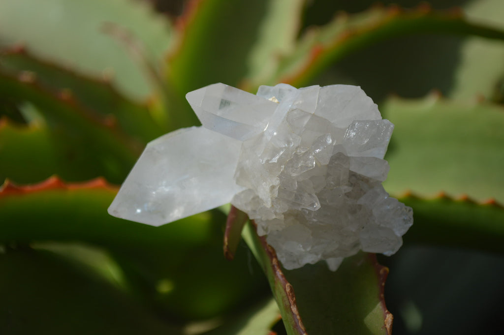Natural Clear Quartz Clusters x 35 From Solwezi, Zambia - Toprock Gemstones and Minerals 
