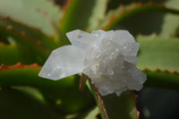 Natural Clear Quartz Clusters x 35 From Solwezi, Zambia - Toprock Gemstones and Minerals 