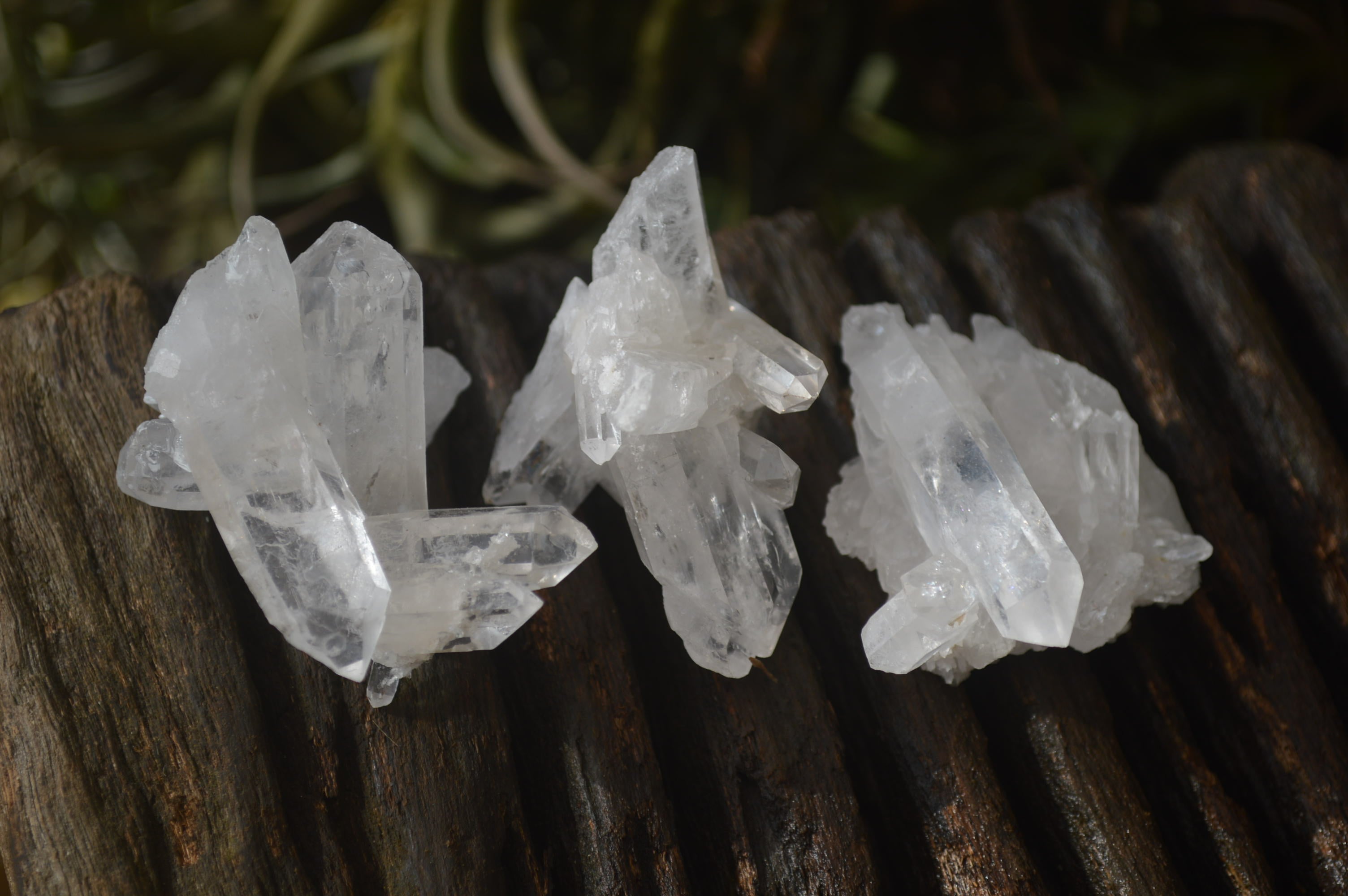 Natural Clear Quartz Clusters x 35 From Solwezi, Zambia - Toprock Gemstones and Minerals 