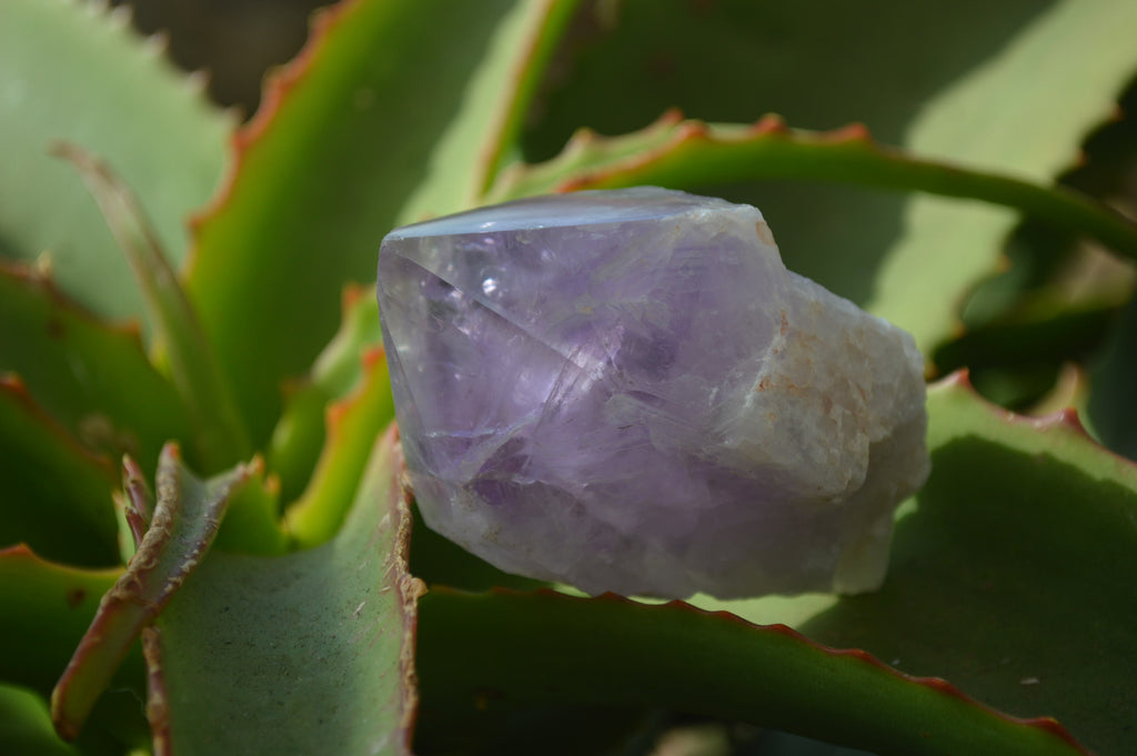 Polished Jacaranda Amethyst Crystals x 12 From Mumbwe, Zambia - Toprock Gemstones and Minerals 