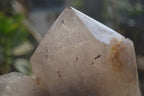 Polished Large Twin Quartz Crystal x 1 From Angola - Toprock Gemstones and Minerals 