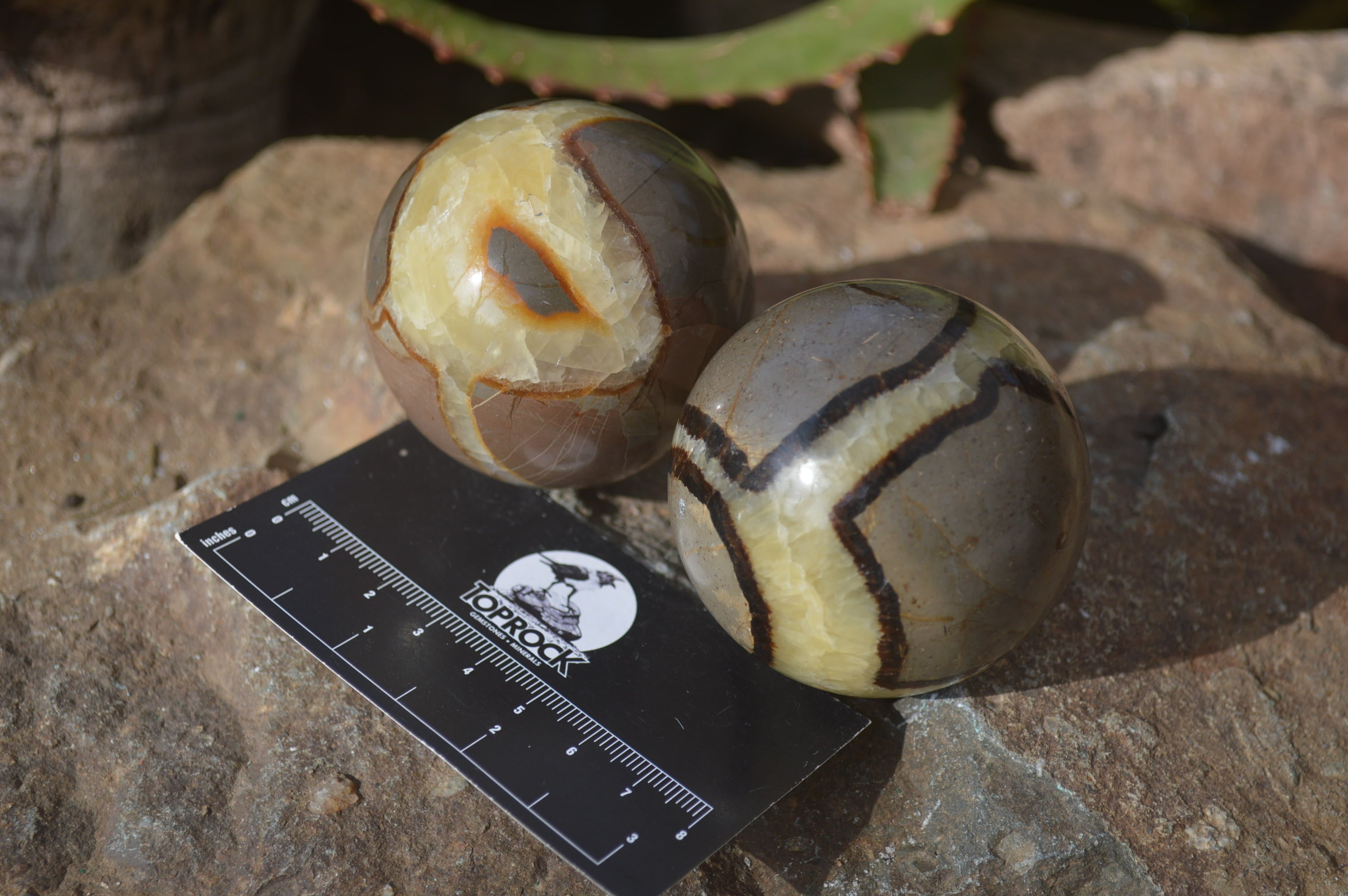 Polished Septaria Spheres x 6 From Mahajanga, Madagascar - Toprock Gemstones and Minerals 