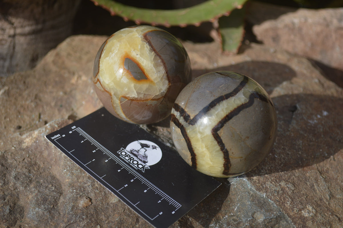 Polished Septaria Spheres x 6 From Mahajanga, Madagascar - Toprock Gemstones and Minerals 