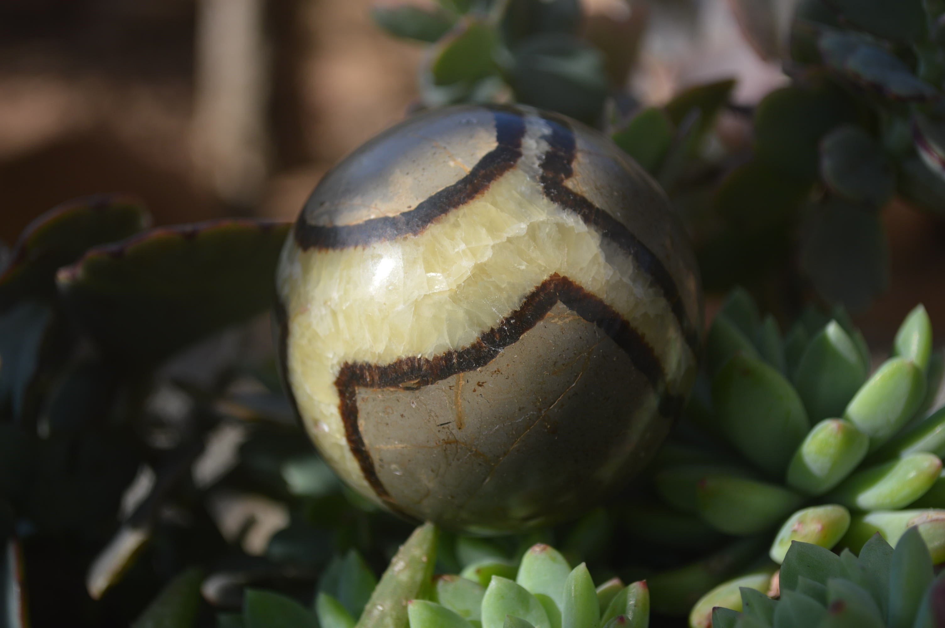 Polished Septaria Spheres x 6 From Mahajanga, Madagascar - Toprock Gemstones and Minerals 