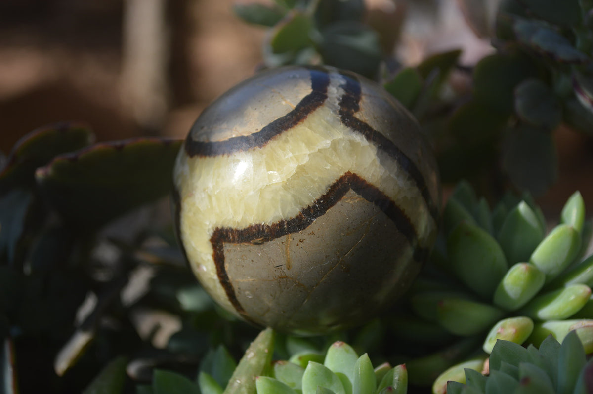 Polished Septaria Spheres x 6 From Mahajanga, Madagascar - Toprock Gemstones and Minerals 