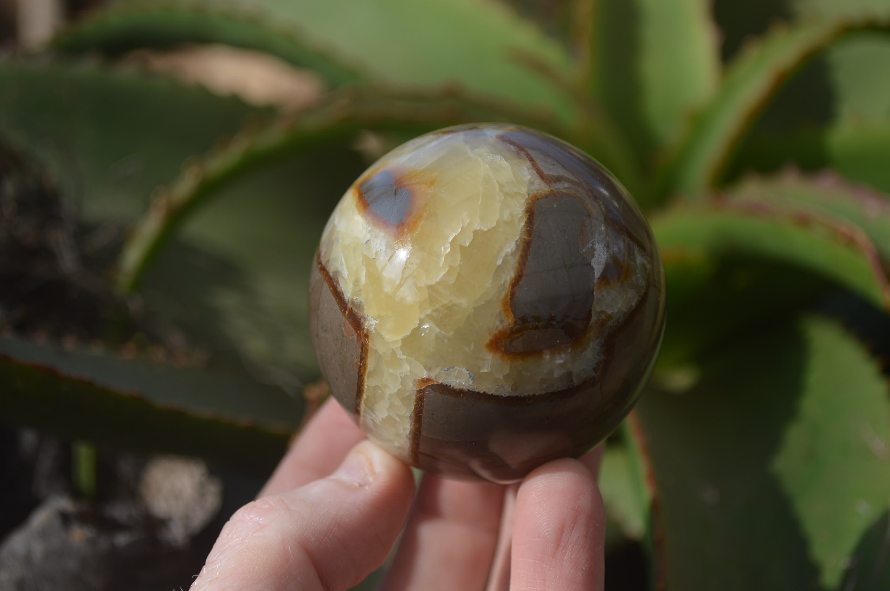 Polished Septaria Spheres x 6 From Mahajanga, Madagascar - Toprock Gemstones and Minerals 