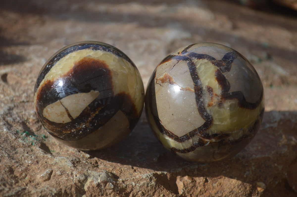 Polished Septaria Spheres x 6 From Mahajanga, Madagascar - Toprock Gemstones and Minerals 