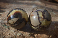 Polished Septaria Spheres x 6 From Mahajanga, Madagascar - Toprock Gemstones and Minerals 