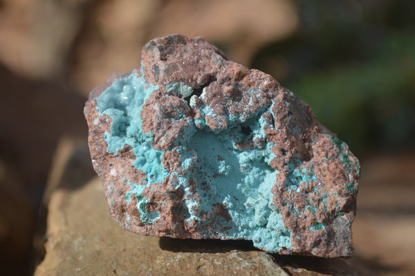 Natural Drusy Chrysocolla Dolomite Specimens x 6 From Likasi, Congo - Toprock Gemstones and Minerals 