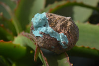 Natural Drusy Chrysocolla Dolomite Specimens x 6 From Likasi, Congo - Toprock Gemstones and Minerals 