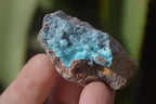 Natural Drusy Chrysocolla Dolomite Specimens x 6 From Likasi, Congo - Toprock Gemstones and Minerals 