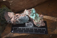 Natural Drusy Chrysocolla Dolomite Specimens x 6 From Likasi, Congo - Toprock Gemstones and Minerals 