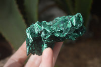 Natural Chatoyant Silky Malachite Specimens  x 6 From Kasompe, Congo - Toprock Gemstones and Minerals 