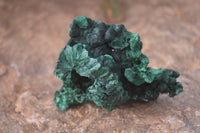 Natural Chatoyant Silky Malachite Specimens  x 6 From Kasompe, Congo - Toprock Gemstones and Minerals 