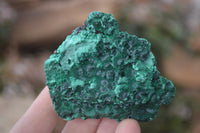 Natural Chatoyant Silky Malachite Specimens  x 6 From Kasompe, Congo - Toprock Gemstones and Minerals 