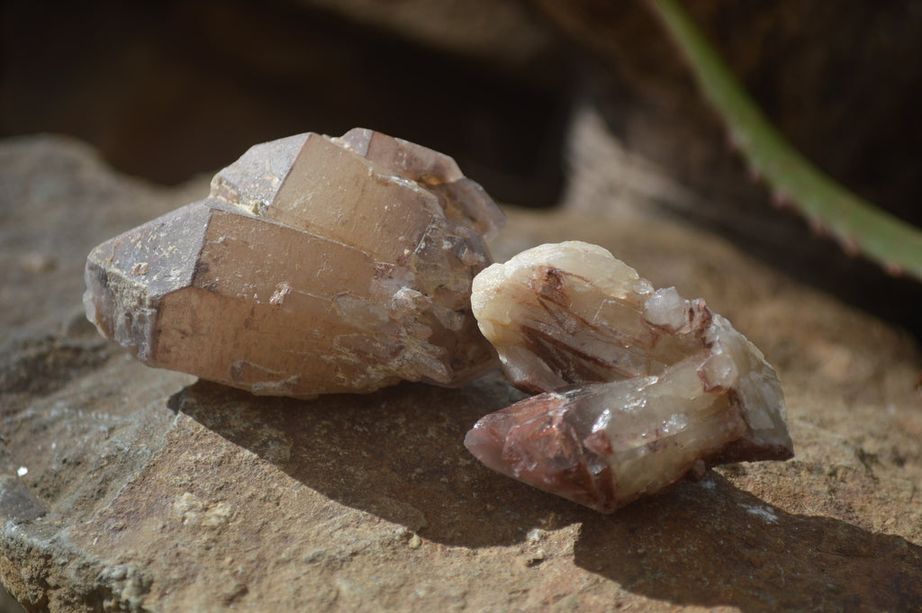 Natural Red Hematoid Quartz Specimens x 24 From Karoi, Zimbabwe - Toprock Gemstones and Minerals 