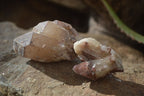 Natural Red Hematoid Quartz Specimens x 24 From Karoi, Zimbabwe - Toprock Gemstones and Minerals 