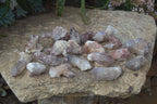 Natural Red Hematoid Quartz Specimens x 24 From Karoi, Zimbabwe - Toprock Gemstones and Minerals 