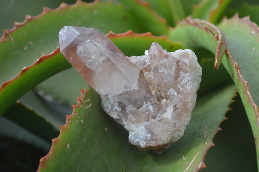 Natural Red Hematoid Quartz Specimens x 24 From Karoi, Zimbabwe - Toprock Gemstones and Minerals 