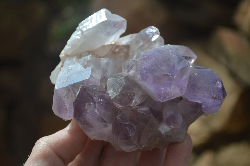 Natural Amethyst Crystal Specimens x 6 From Zambia - Toprock Gemstones and Minerals 