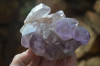 Natural Amethyst Crystal Specimens x 6 From Zambia - Toprock Gemstones and Minerals 