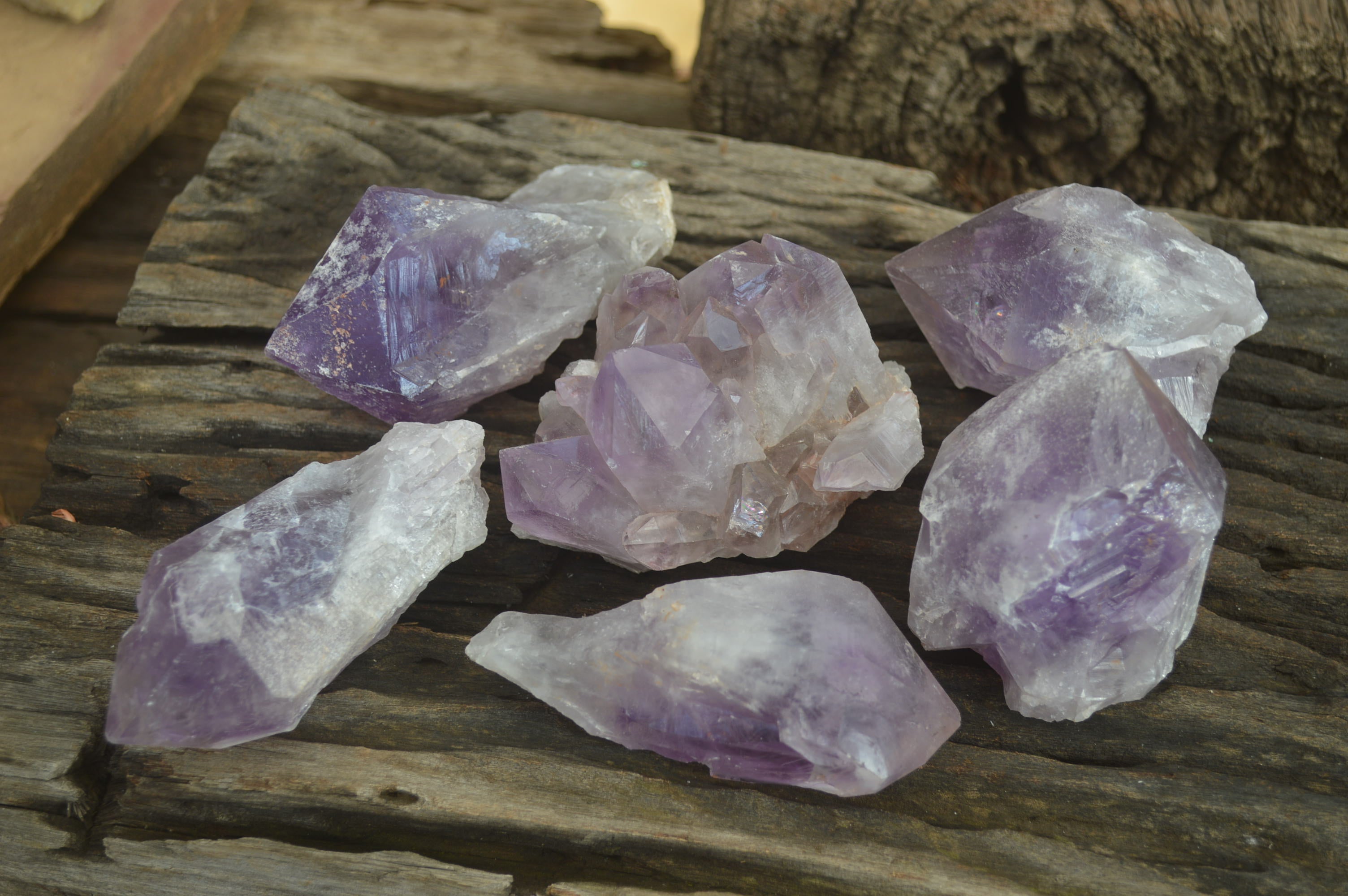 Natural Amethyst Crystal Specimens x 6 From Zambia - Toprock Gemstones and Minerals 