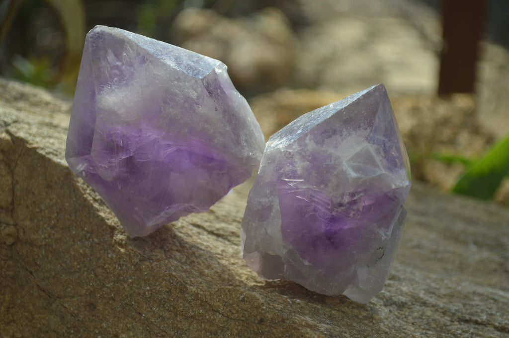 Natural Amethyst Crystal Specimens x 6 From Zambia - Toprock Gemstones and Minerals 
