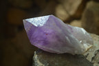 Natural Amethyst Crystal Specimens x 6 From Zambia - Toprock Gemstones and Minerals 