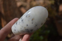 Polished Dendritic Opal Standing Free Forms x 6 From Moralambo, Madagascar - Toprock Gemstones and Minerals 