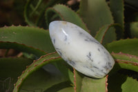 Polished Dendritic Opal Standing Free Forms x 6 From Moralambo, Madagascar - Toprock Gemstones and Minerals 