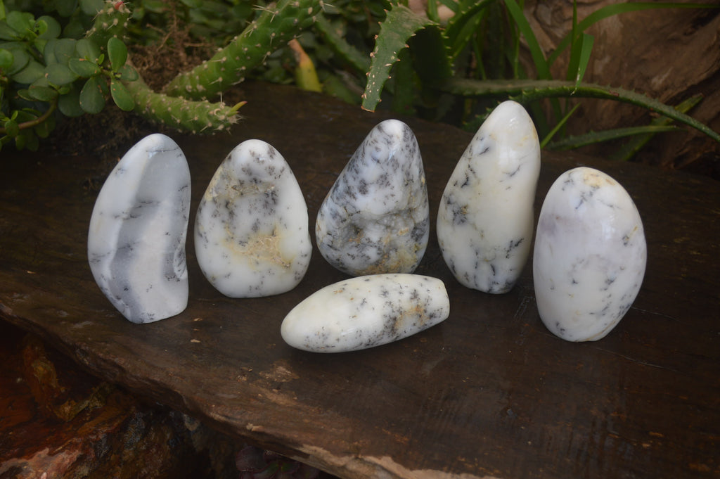 Polished Dendritic Opal Standing Free Forms x 6 From Moralambo, Madagascar - Toprock Gemstones and Minerals 