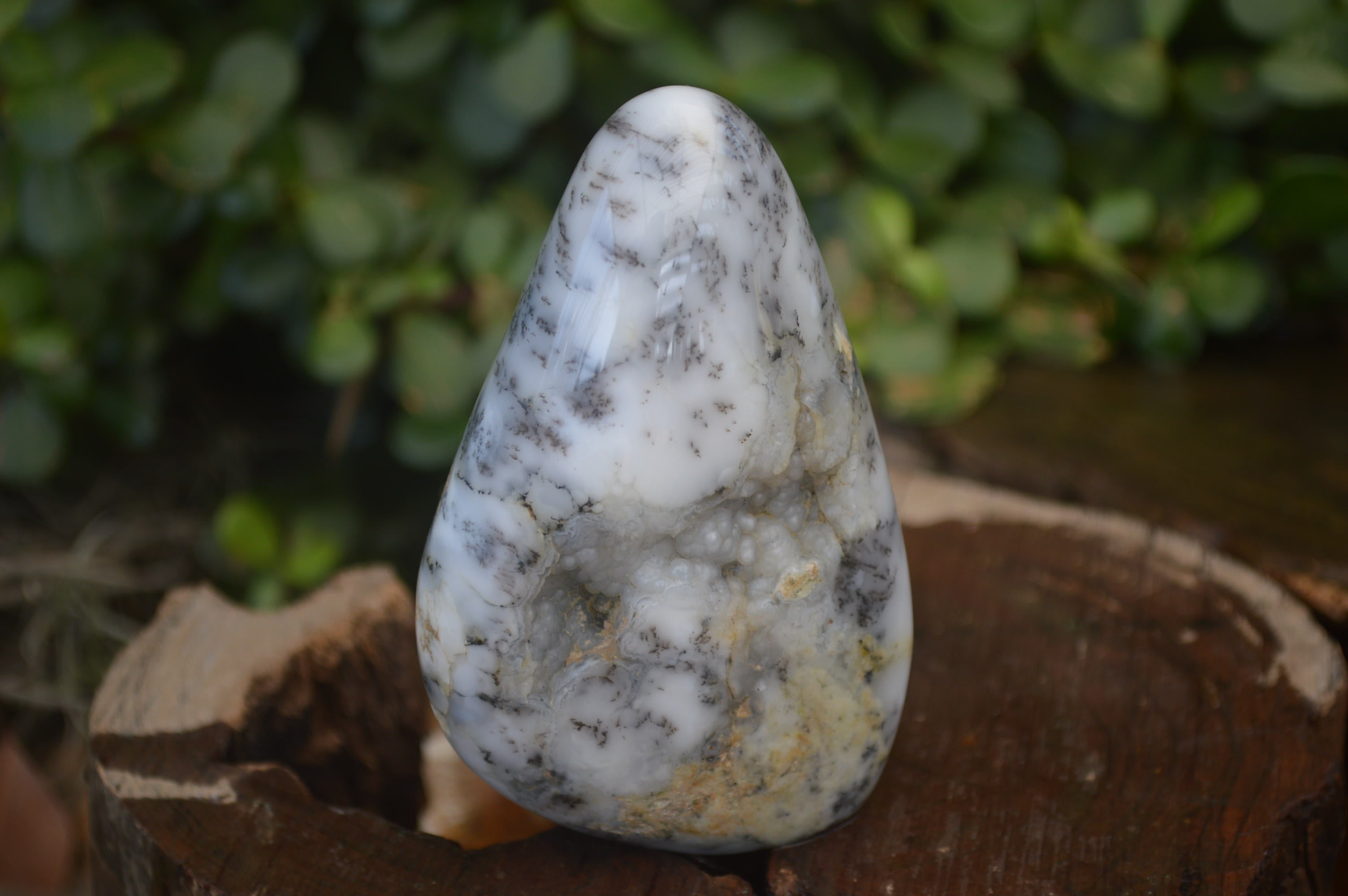 Polished Dendritic Opal Standing Free Forms x 6 From Moralambo, Madagascar - Toprock Gemstones and Minerals 