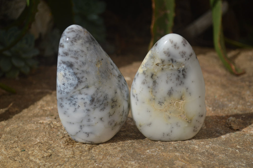 Polished Dendritic Opal Standing Free Forms x 6 From Moralambo, Madagascar - Toprock Gemstones and Minerals 