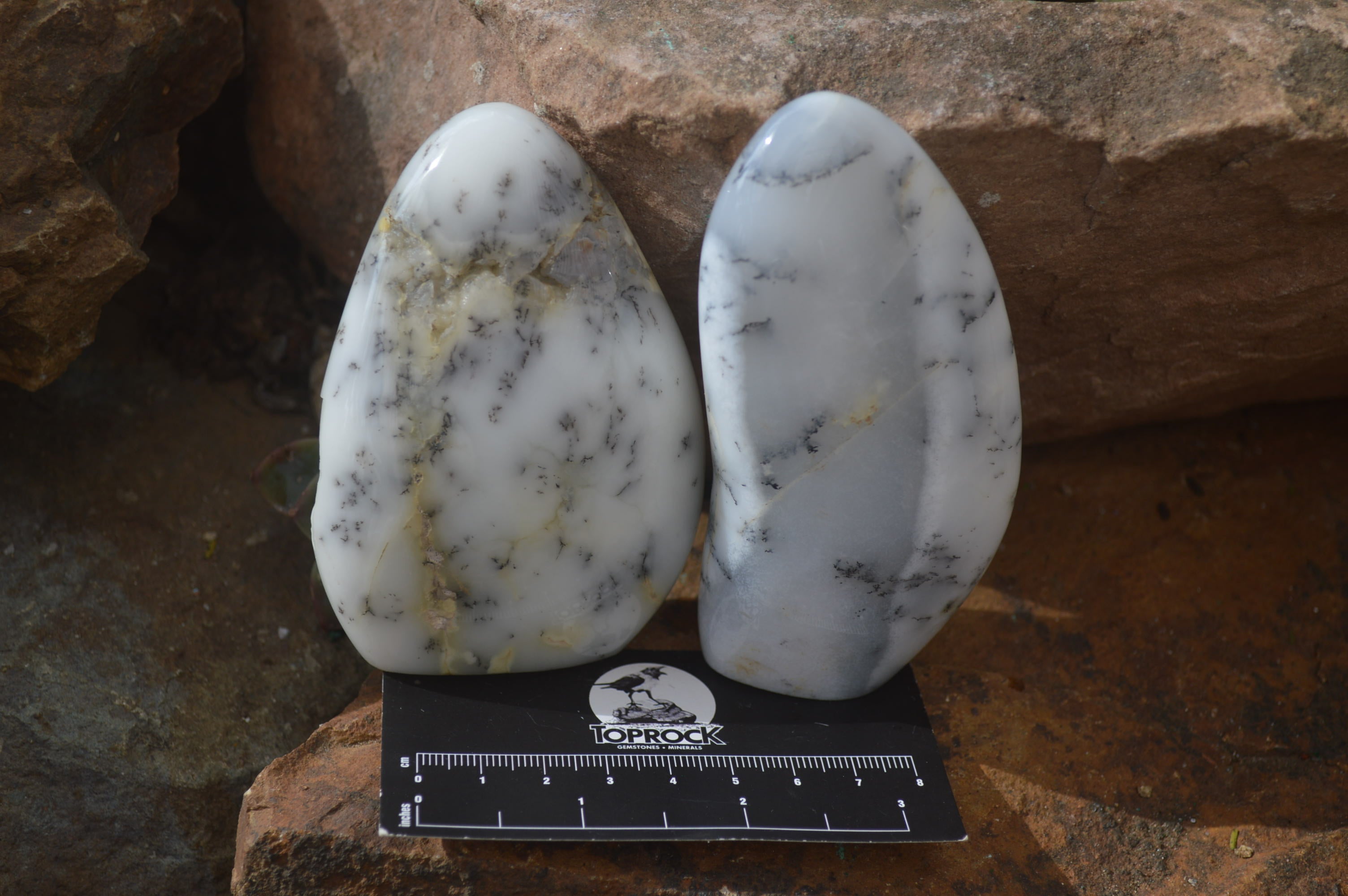 Polished Dendritic Opal Standing Free Forms x 6 From Moralambo, Madagascar - Toprock Gemstones and Minerals 