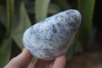 Polished Dendritic Opal Standing Free Forms x 6 From Moralambo, Madagascar - Toprock Gemstones and Minerals 