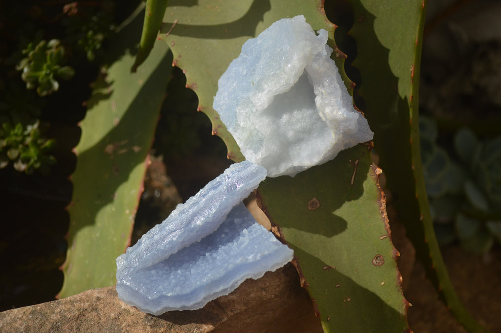 Natural Etched Blue Chalcedony Specimens x 12 From Nsanje, Malawi - Toprock Gemstones and Minerals 