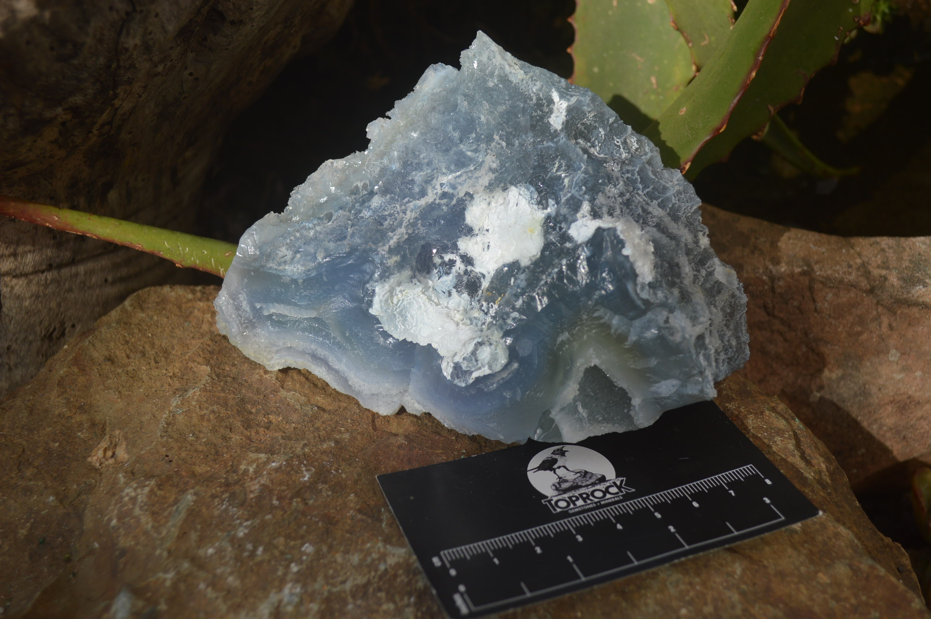 Natural Etched Blue Chalcedony Specimens  x 3 From Nsanje, Malawi - Toprock Gemstones and Minerals 
