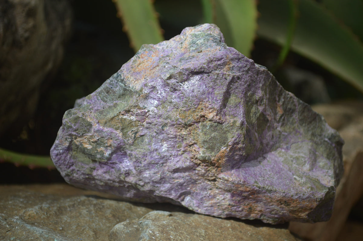 Natural Rough Stichtite & Serpentine Specimens x 3 From Barberton, South Africa - Toprock Gemstones and Minerals 