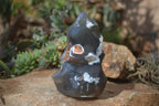 Polished Orca Agate Flame Sculpture  x 1 From West Coast, Madagascar - Toprock Gemstones and Minerals 