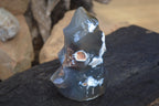 Polished Orca Agate Flame Sculpture  x 1 From West Coast, Madagascar - Toprock Gemstones and Minerals 