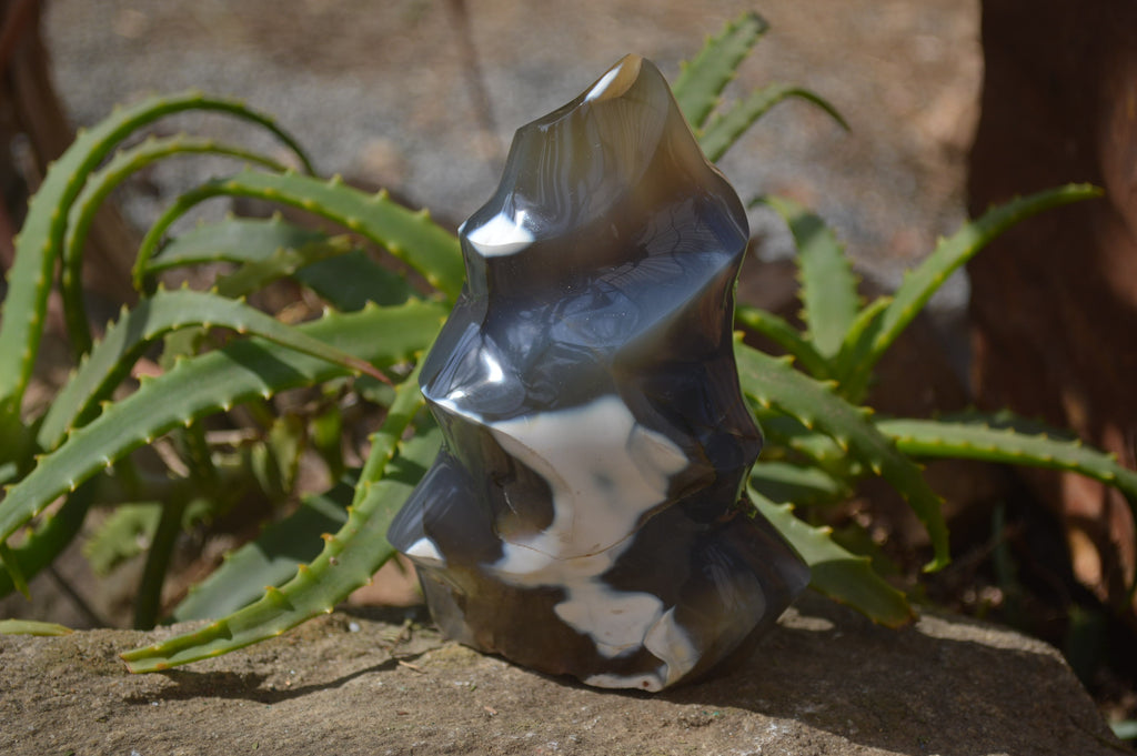 Polished Orca Agate Flame Sculpture  x 1 From West Coast, Madagascar - Toprock Gemstones and Minerals 