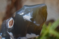 Polished Orca Agate Flame Sculpture  x 1 From West Coast, Madagascar - Toprock Gemstones and Minerals 