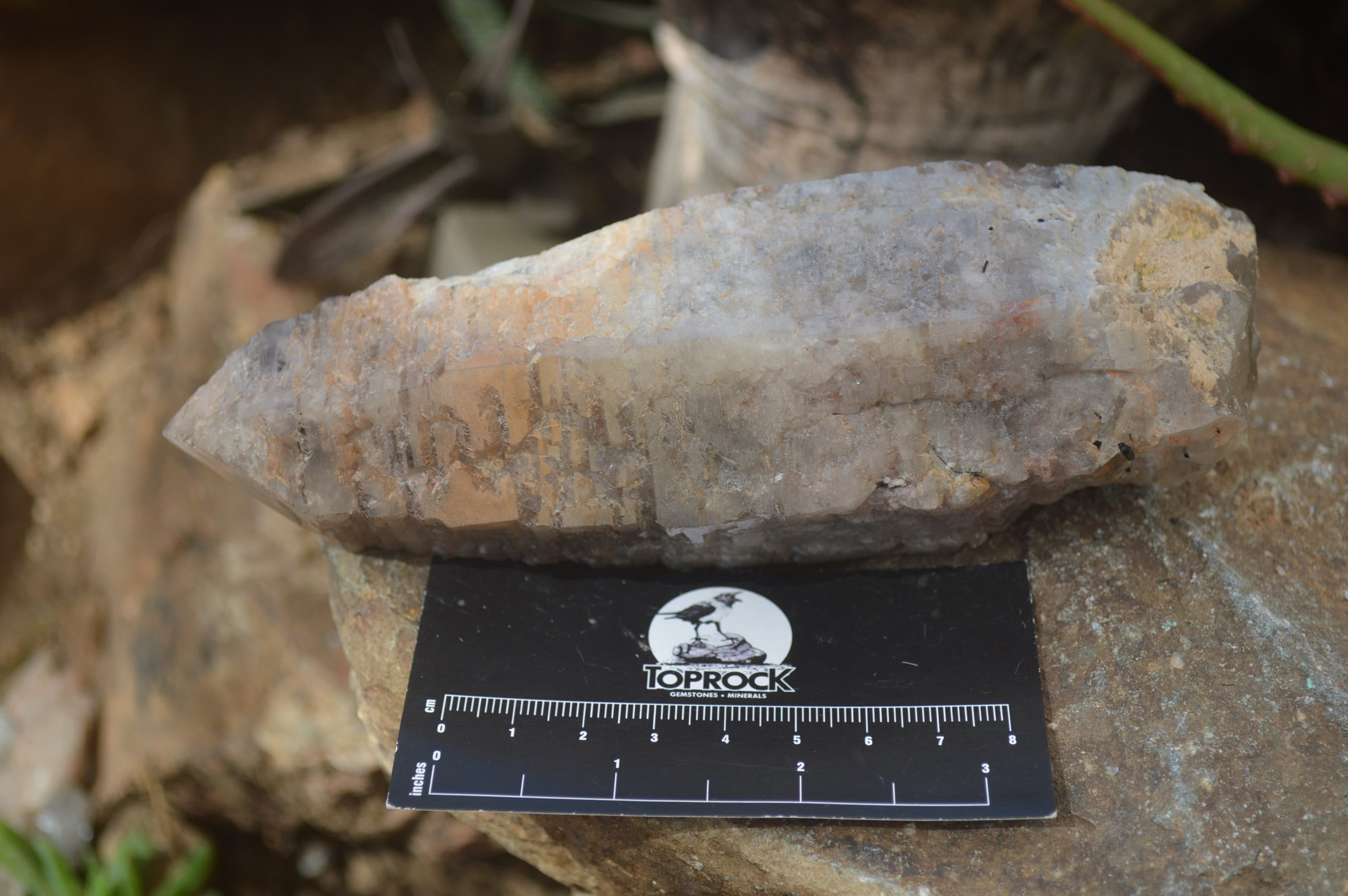 Natural Celestial Layered Window / Candle Quartz Specimens  x 2 From Madagascar - Toprock Gemstones and Minerals 