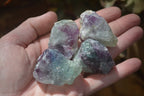 Natural Rough Watermelon Fluorite Cobbed Specimens  x 35 From Namibia - Toprock Gemstones and Minerals 