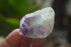 Natural Rough Watermelon Fluorite Cobbed Specimens  x 35 From Namibia - Toprock Gemstones and Minerals 