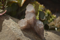 Natural Cascading Smokey Quartz Clusters x 3 From Luena, Congo - Toprock Gemstones and Minerals 