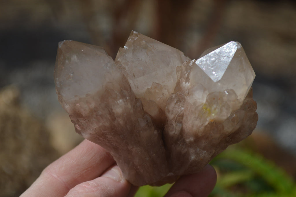 Natural Cascading Smokey Quartz Clusters x 3 From Luena, Congo - Toprock Gemstones and Minerals 