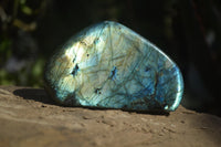 Polished Labradorite Standing Free Forms  x 6 From Tulear, Madagascar - Toprock Gemstones and Minerals 